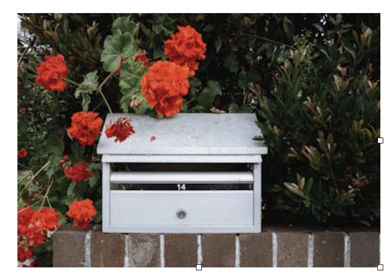 Budget-Friendly Mailboxes for Every Home 